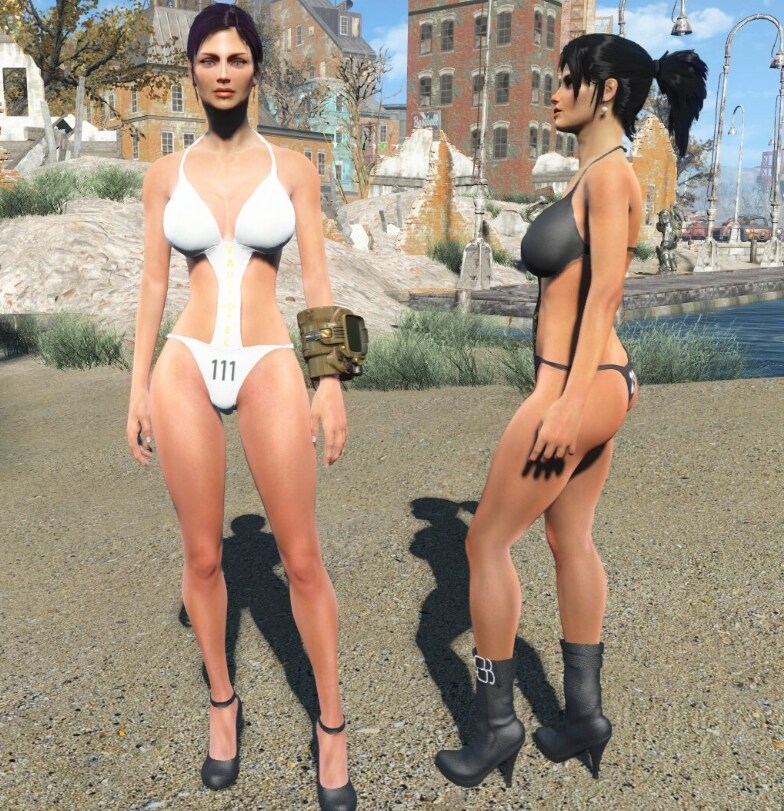 폴아웃이나 싸필드(스타필드) 같은 겜에서 모드로 동료 2명 이상이면 쫄보임?_1.png