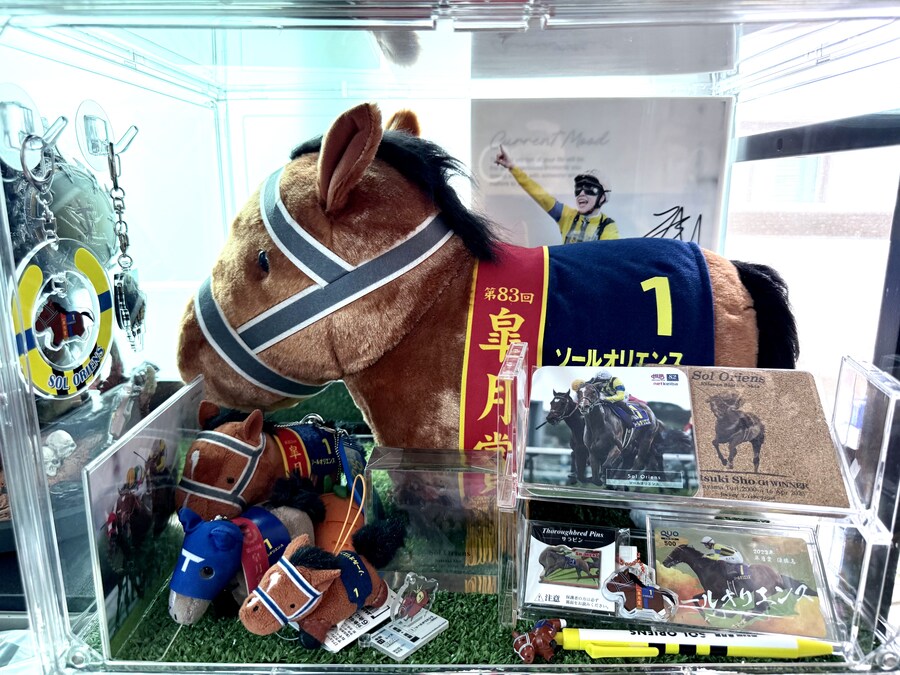 경마) / 말딸) 천황상 가을 2주 남았군_4.jpg