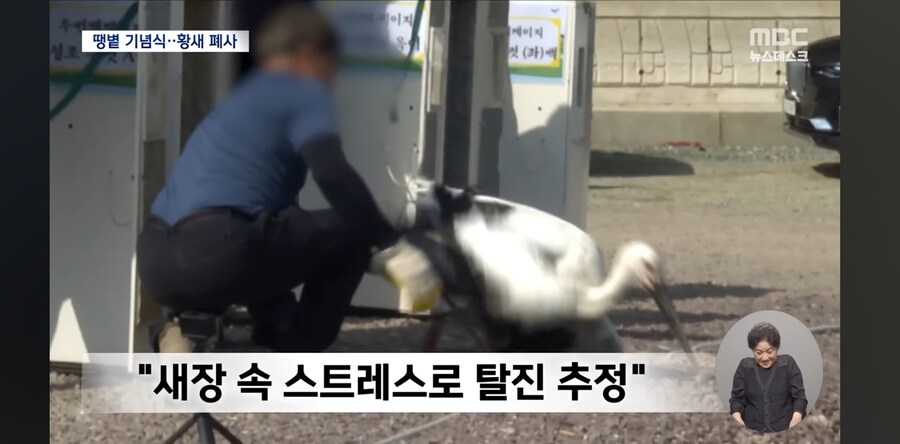 의전하다가 천연기념물 사도세자 만들어버린 김해시 과학관_7.jpg