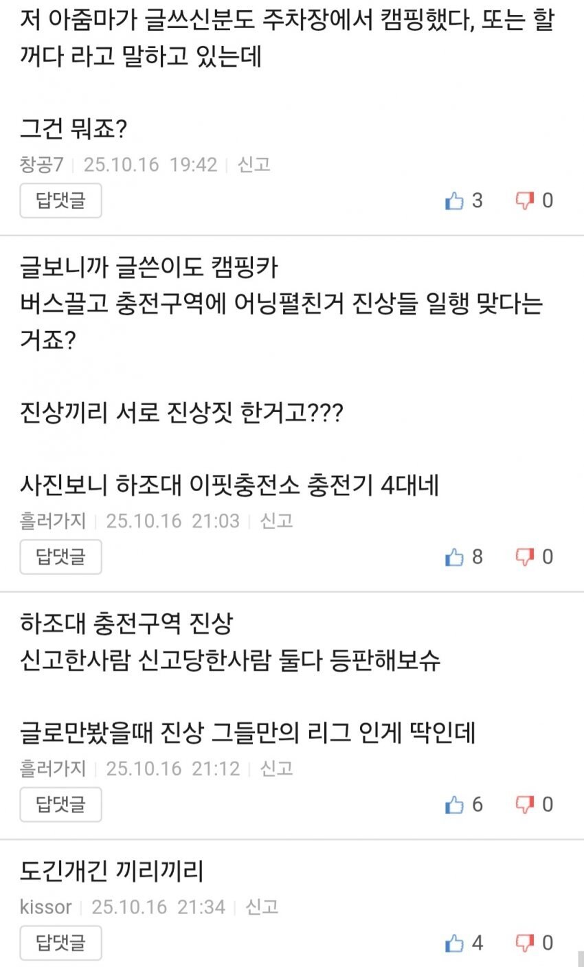 뉴스탄 전기차 충전소 캠핑 강아지 민폐녀 논란 반전_3.jpg