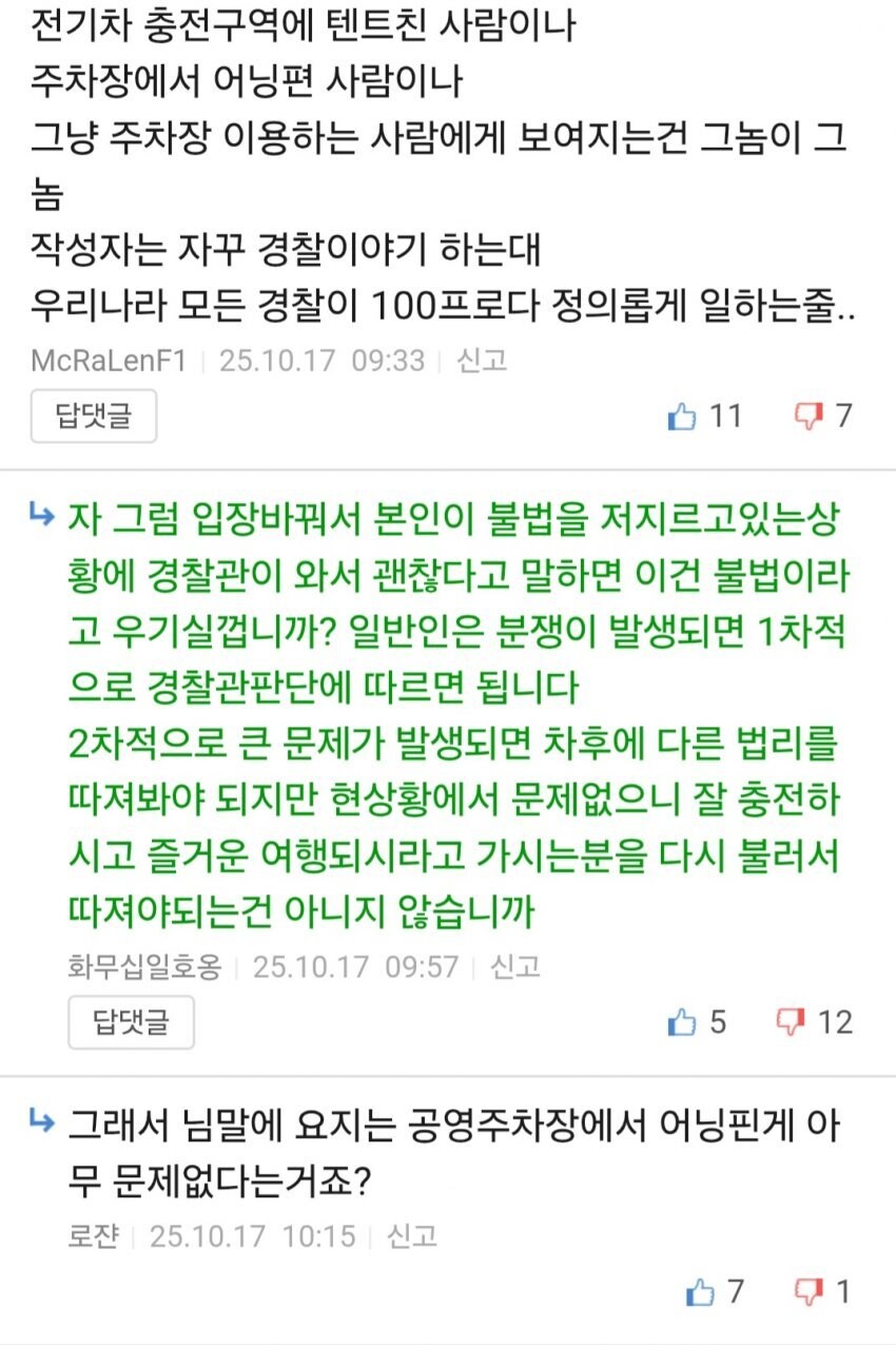 뉴스탄 전기차 충전소 캠핑 강아지 민폐녀 논란 반전_4.jpg