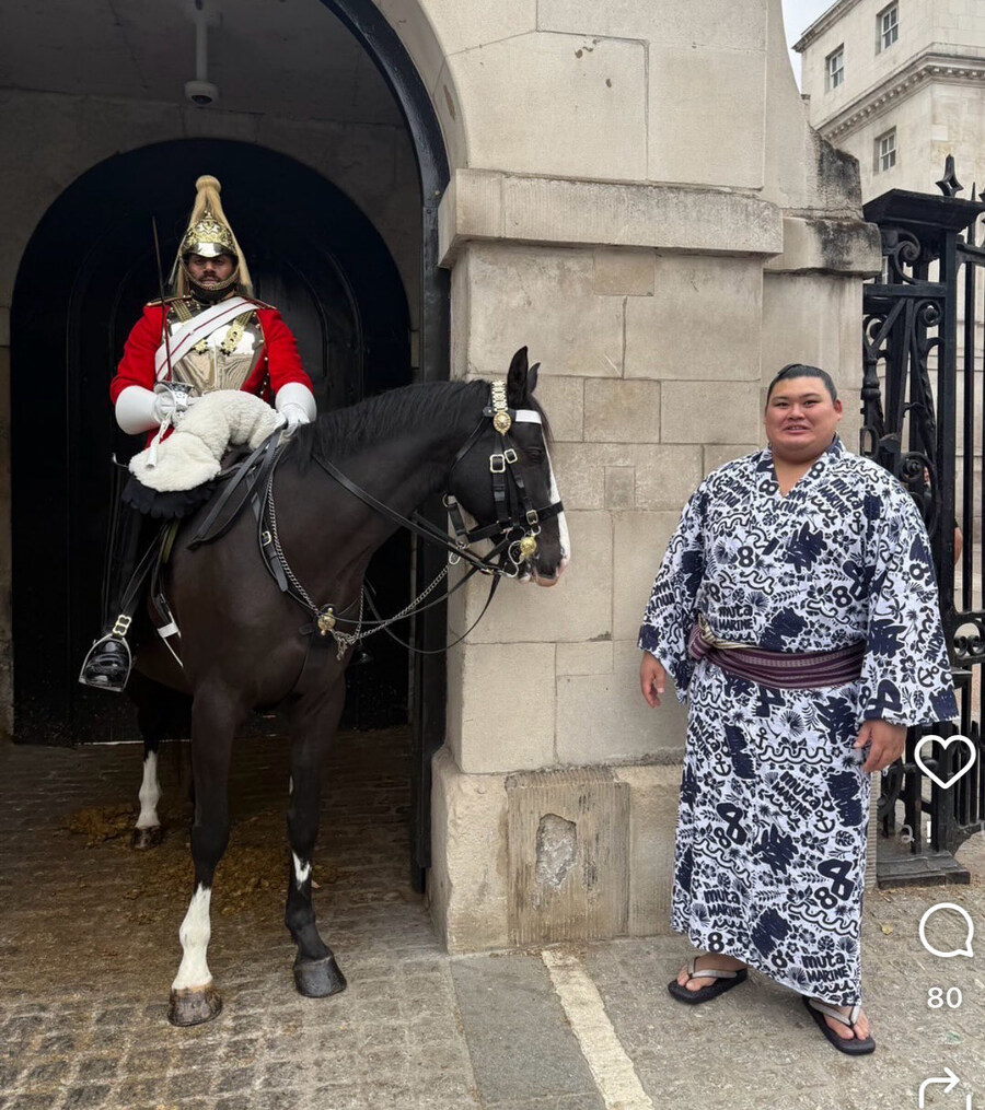 스모선수가 신기한 말_1.jpg