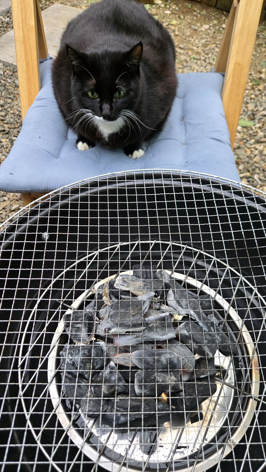 야옹이랑 먹는 양념돈설구이_33.jpg