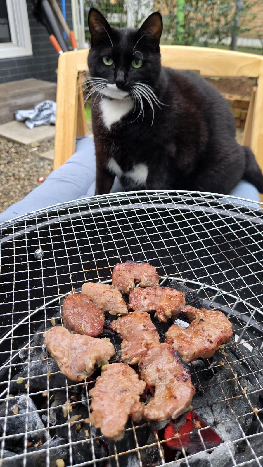 야옹이랑 먹는 양념돈설구이_43.jpg