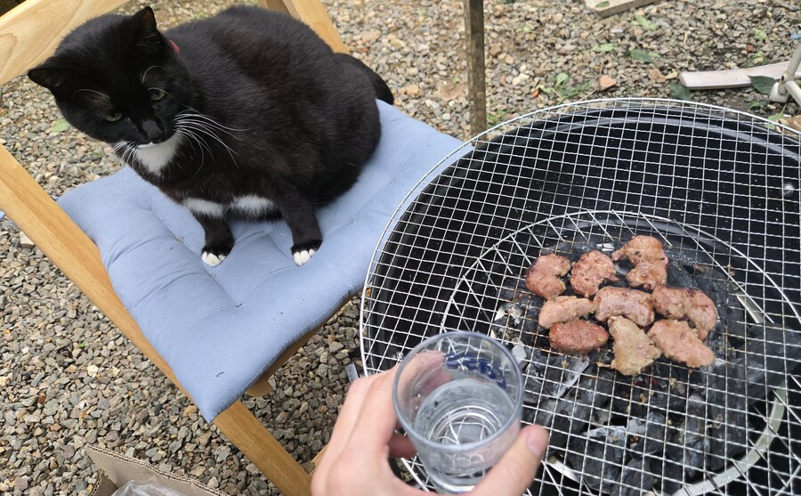 야옹이랑 먹는 양념돈설구이_44.jpg