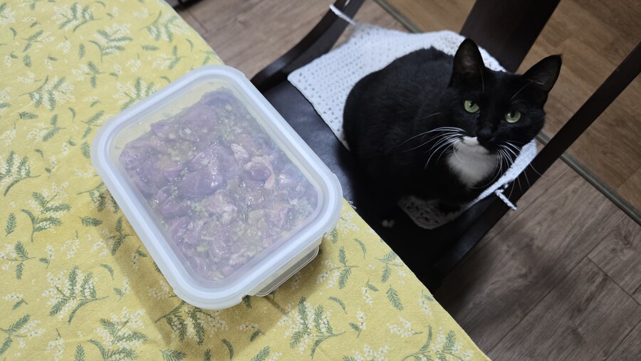 야옹이랑 먹는 양념돈설구이_26.jpg