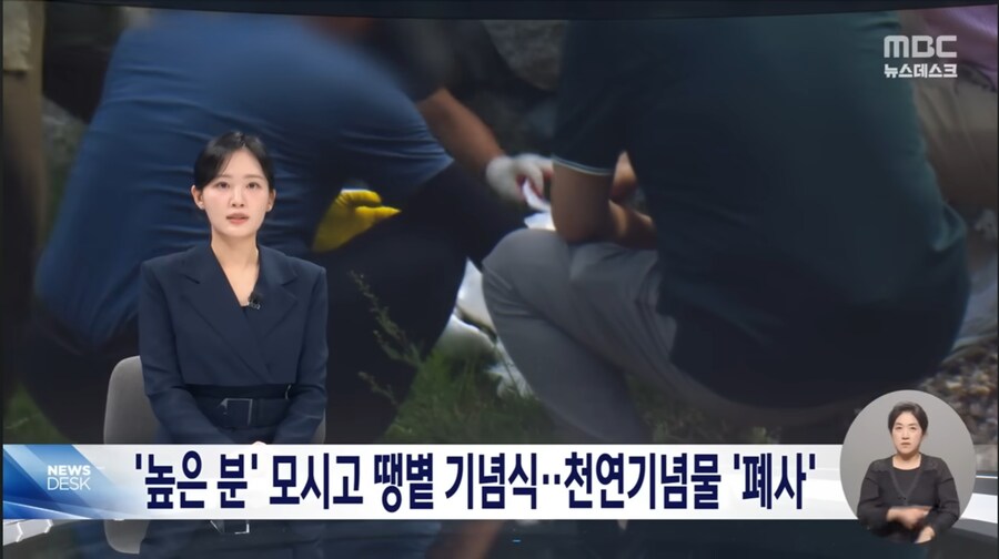 기념식 때문에 천연기념물 황새 폐사 시켜버린 김해시 레전드 ㅋㅋㅋㅋ_2.jpg