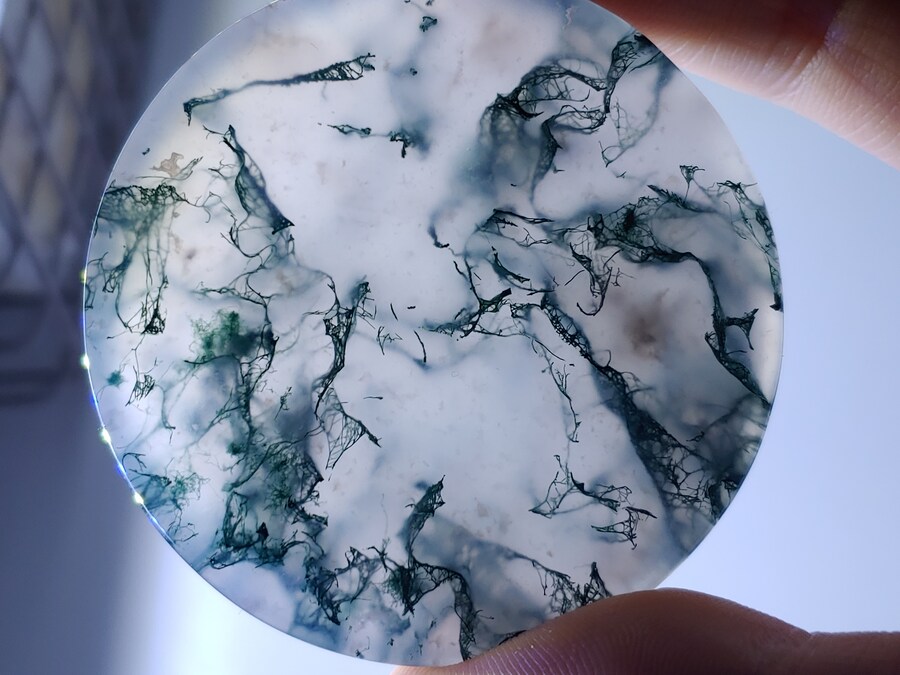 돌산거 왔다_3.jpg