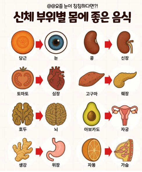 유게이들이 먹어야 할 음식 알려준다._1.png