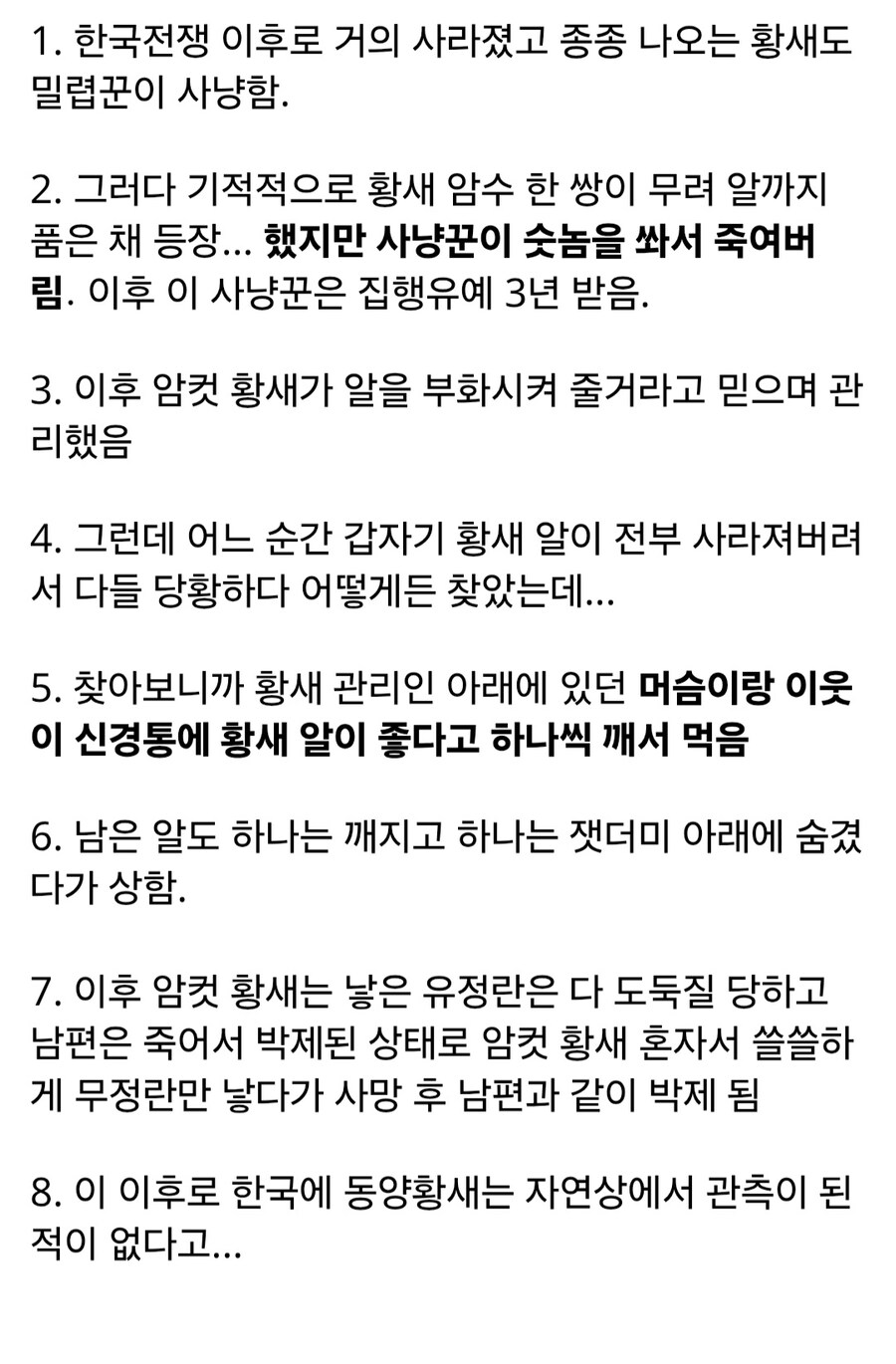 한국에서 황새(동양황새)가 자연에서 멸종한 순간_2.jpg
