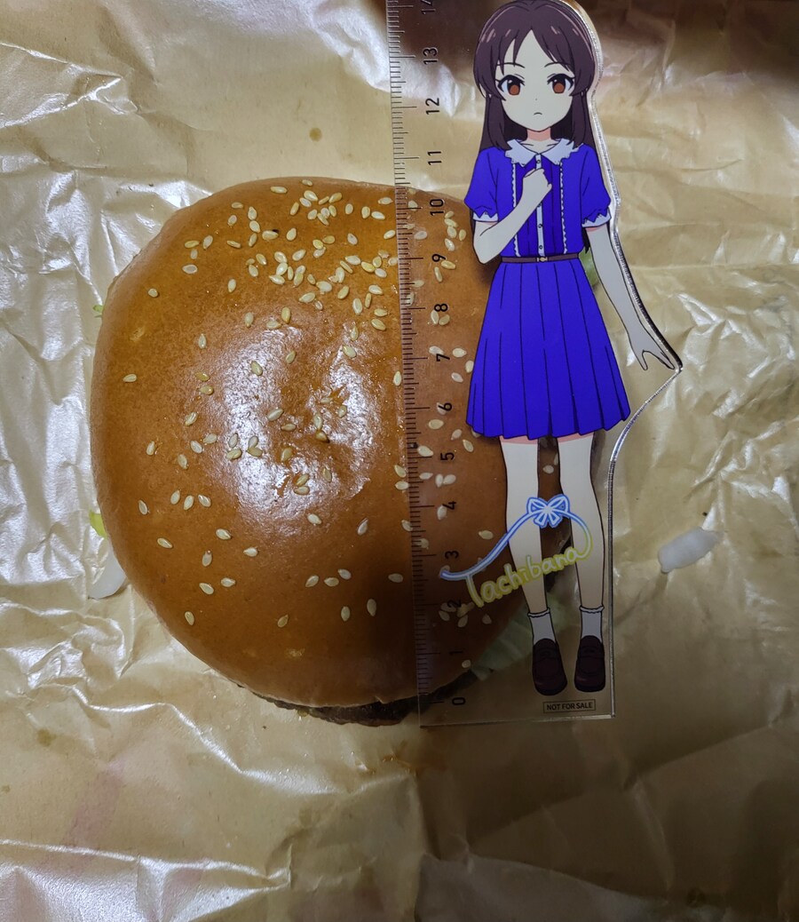 와퍼 리뉴얼 사진이 다른 사이트에 퍼진 이유_2.jpg
