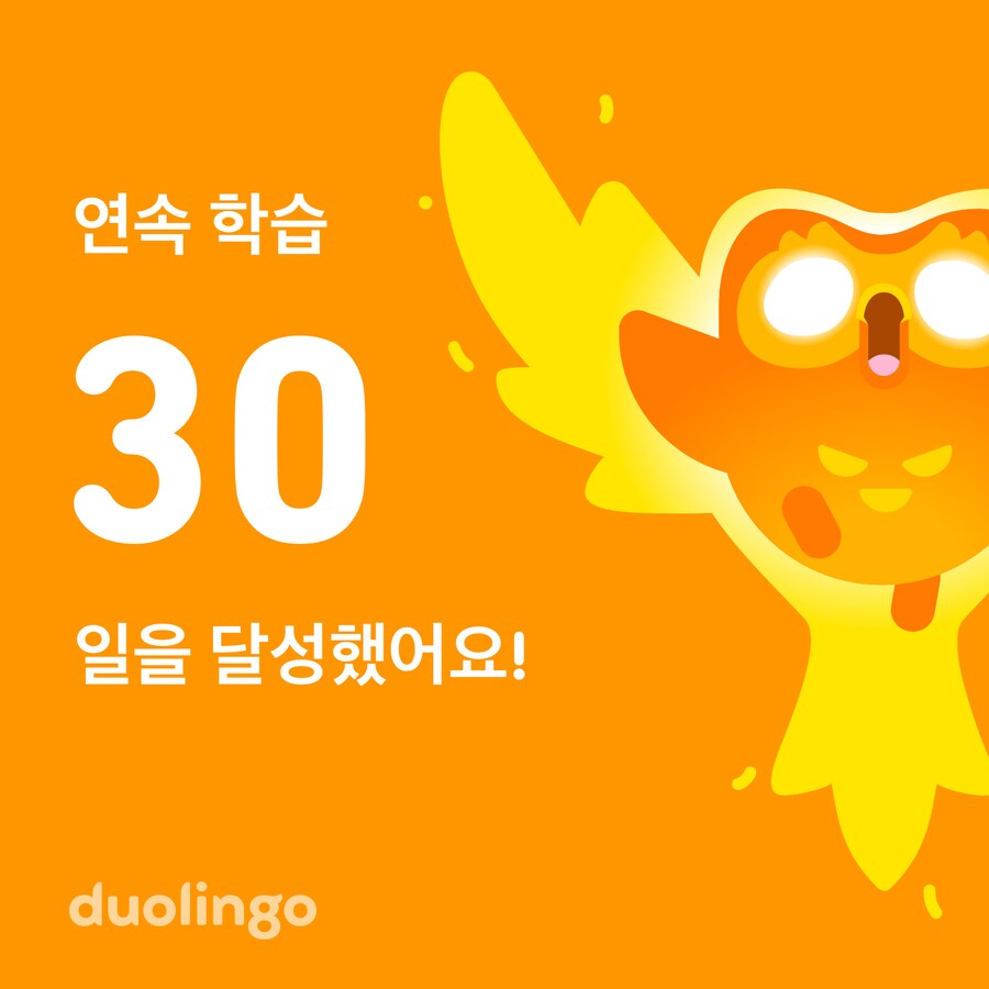 야심한 새벽에 일어나서 내가 한 것_1.png