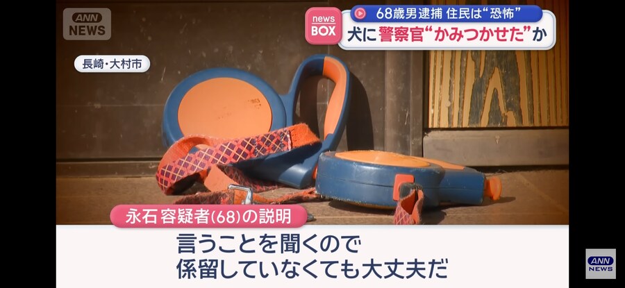 일본)개가 개를 키우는 개판인 상황_2.jpg