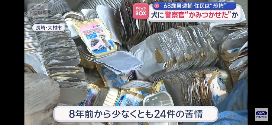 일본)개가 개를 키우는 개판인 상황_3.jpg