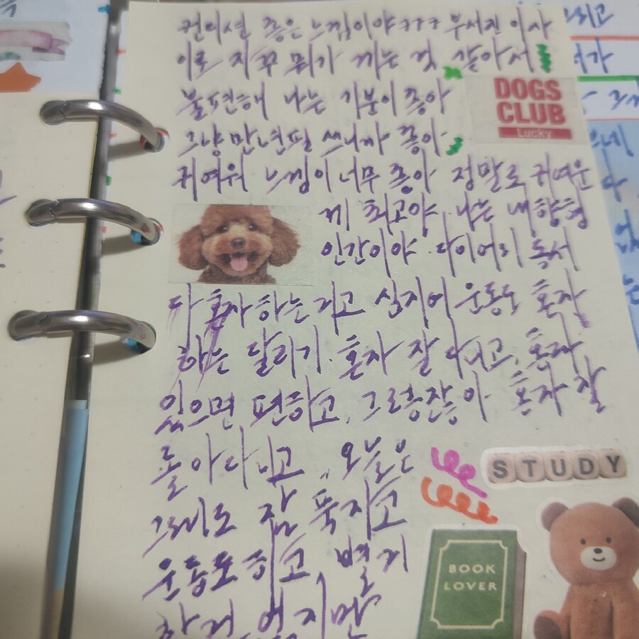 사용하는 만년필 종이들._10.jpg