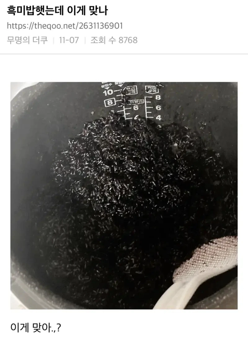 흑미밥 처음해본 사람_1.webp