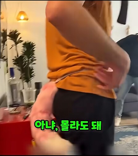 아니 왜 거기서 퍼리가 나와_2.png