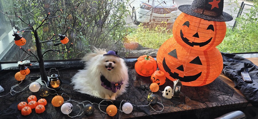 (공포주의) 마녀 사진 ㄷㄷㄷㄷㄷ_1.jpg