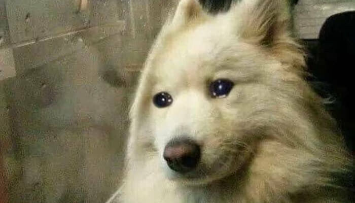 ㅊㅌㄱ) 와.. 주말 끝까지 ㅇㅇㄱ이랑 함께해서 너무 좋다_1.jpg