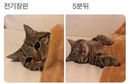 몸에 열많은 사람 특징_1.jpg