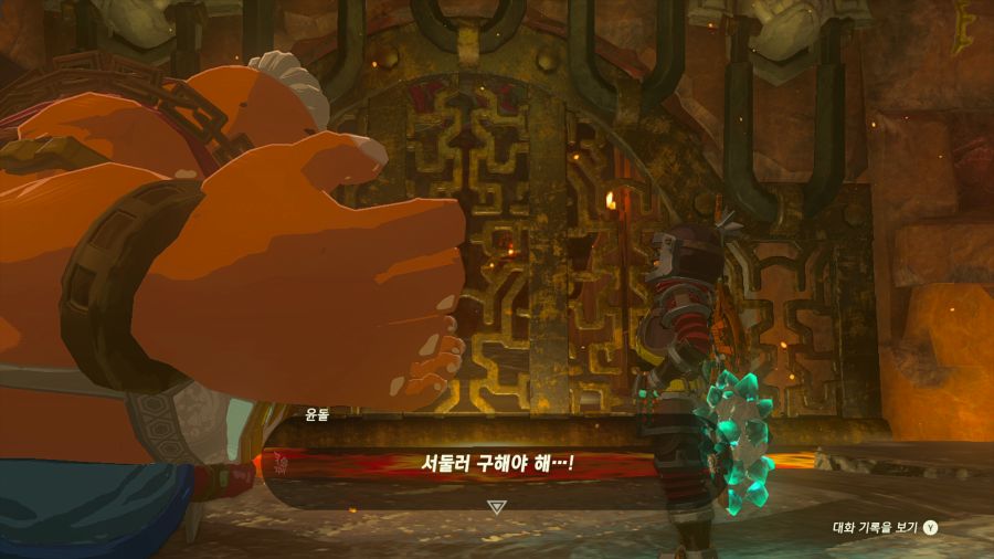 젤다의 전설 티어즈 오브 더 킹덤_10.png