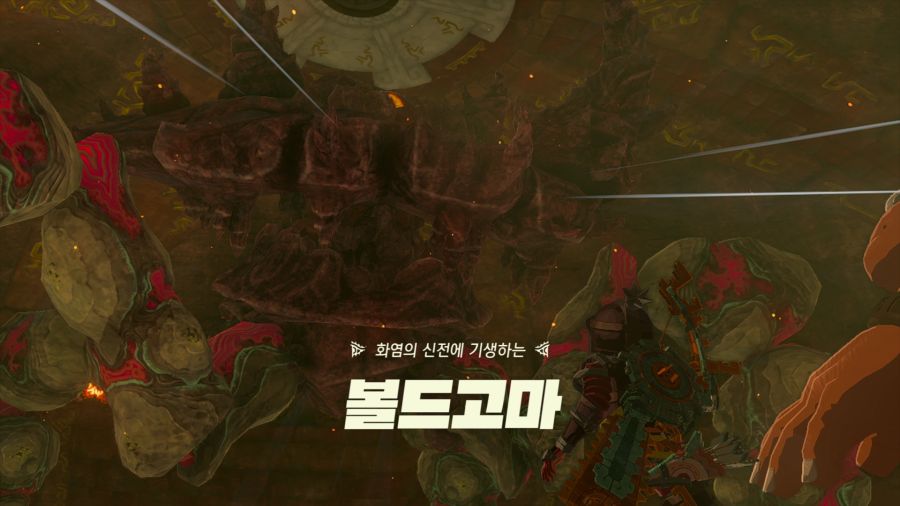 젤다의 전설 티어즈 오브 더 킹덤_13.png