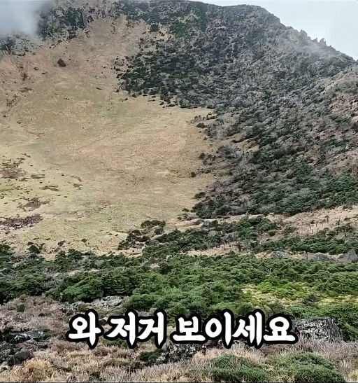 한국 등산객에게 속은 외국인_12.jpg