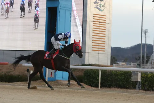경마) 한국 경마에서 이어지는 라이벌 서사_3.webp