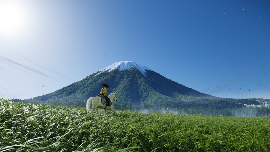 Ghost of Yōtei_10.jpg