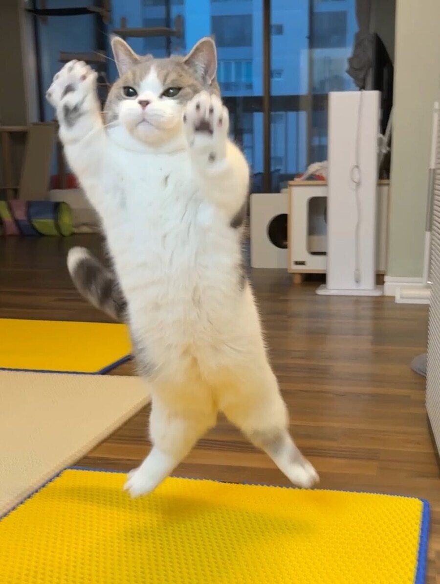 달려라 하니가 망한건.._7.jpg