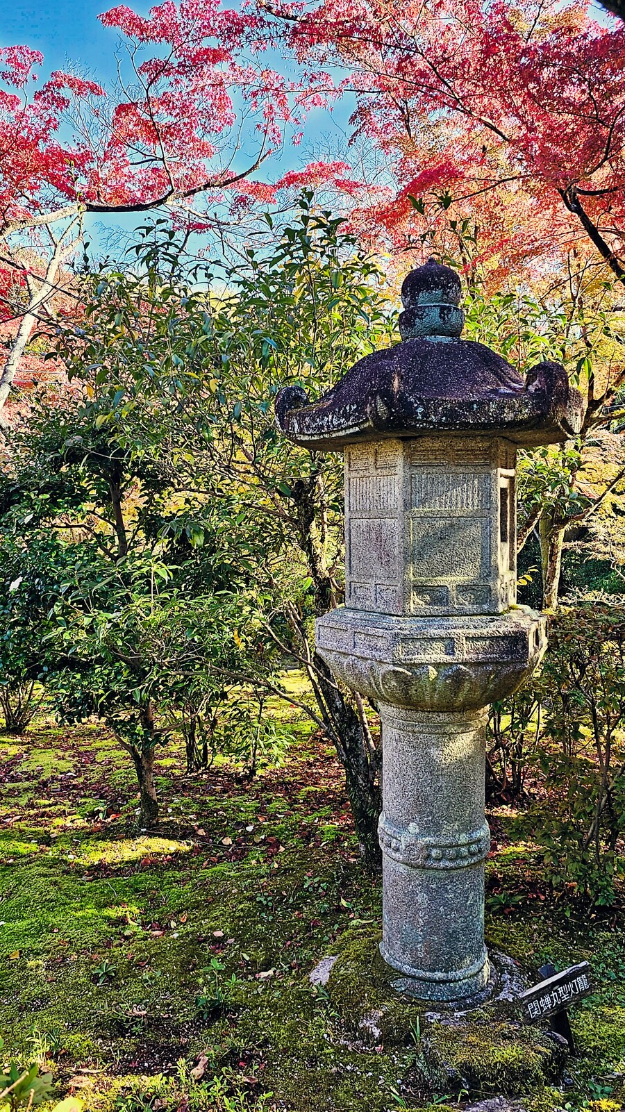 [스압초주의] " 간사이 오사카, 고베, 교토, 나라 여행 일기... "_161.jpg
