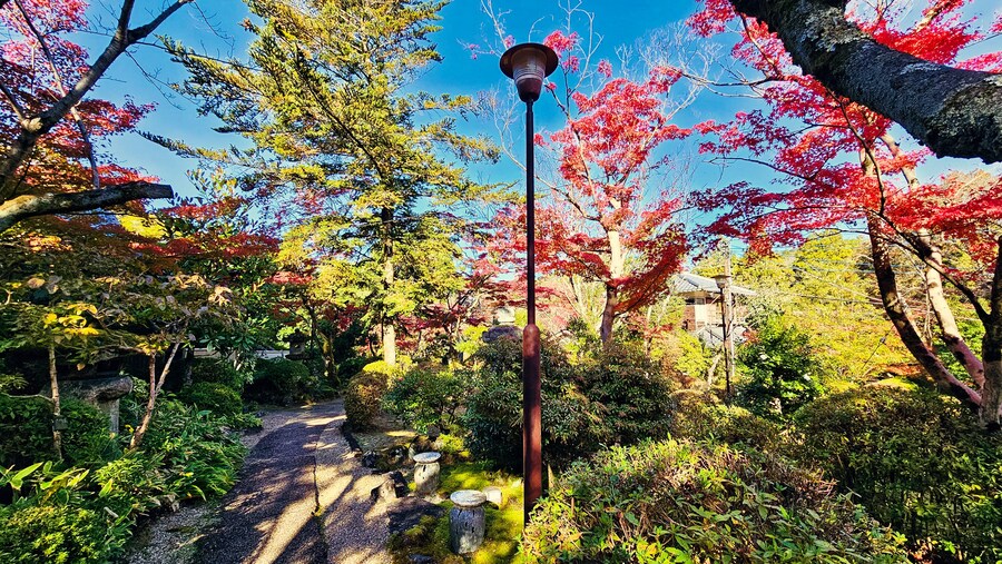 [스압초주의] " 간사이 오사카, 고베, 교토, 나라 여행 일기... "_162.jpg