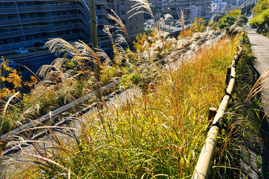 [스압초주의] " 간사이 오사카, 고베, 교토, 나라 여행 일기... "_172.jpg