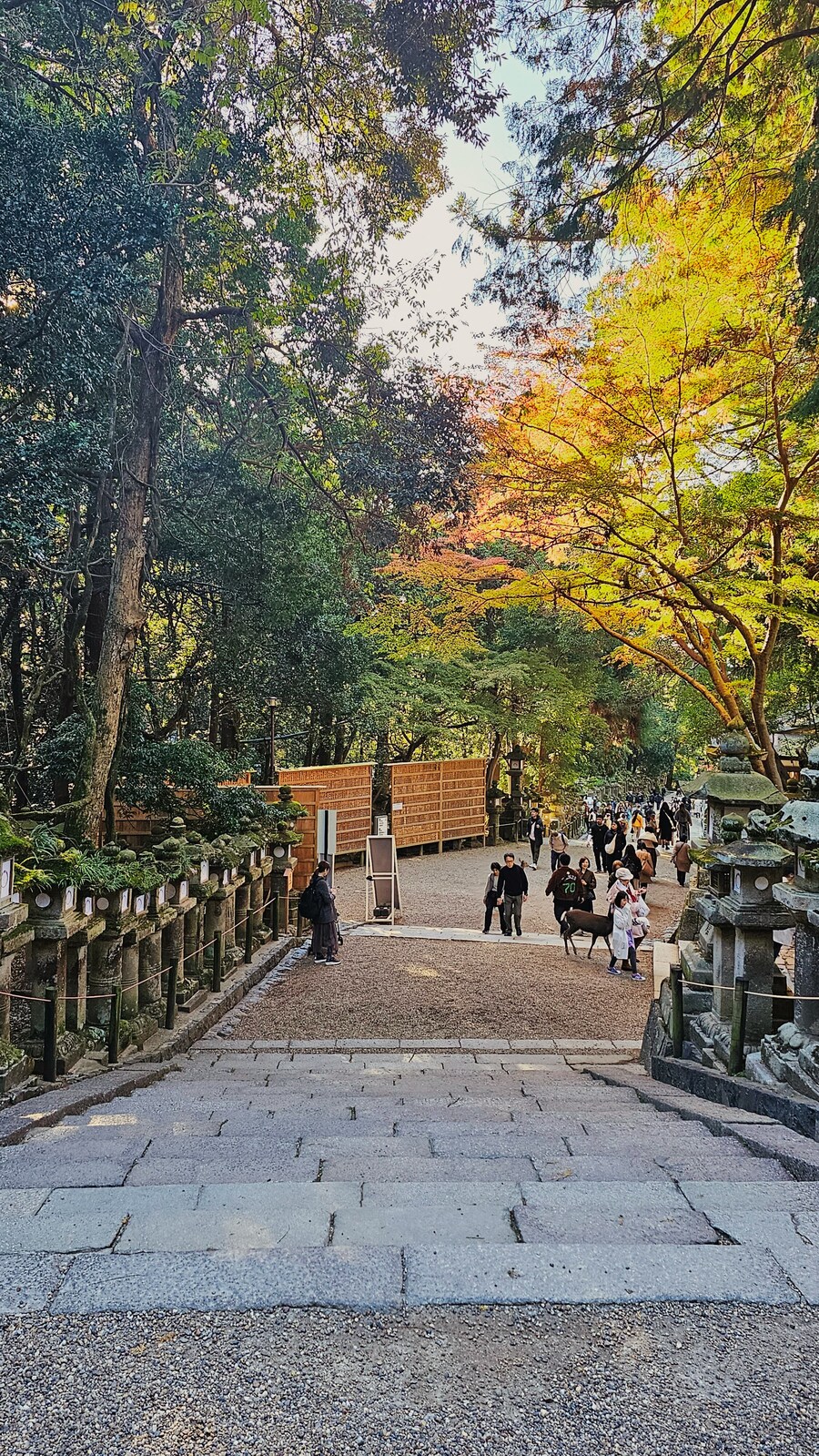[스압초주의] " 간사이 오사카, 고베, 교토, 나라 여행 일기... "_187.jpg
