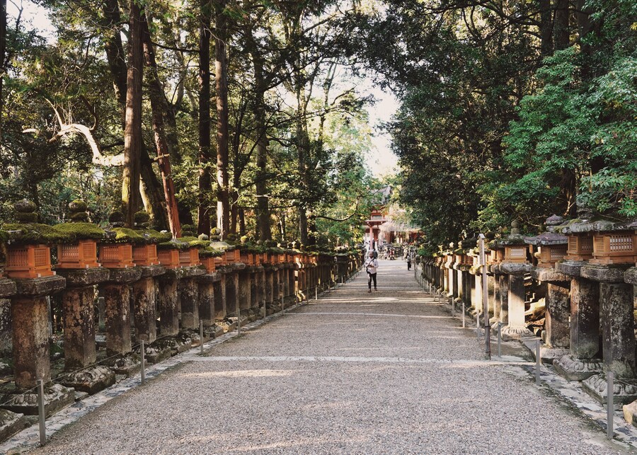 [스압초주의] " 간사이 오사카, 고베, 교토, 나라 여행 일기... "_218.jpg