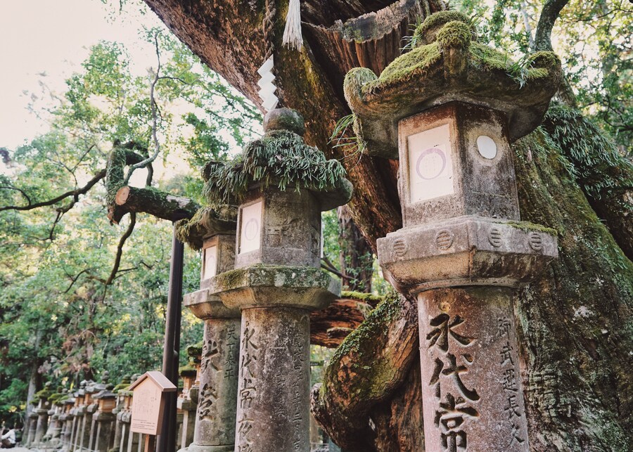 [스압초주의] " 간사이 오사카, 고베, 교토, 나라 여행 일기... "_219.jpg