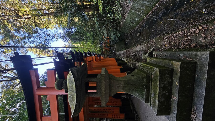 [스압초주의] " 간사이 오사카, 고베, 교토, 나라 여행 일기... "_309.jpg