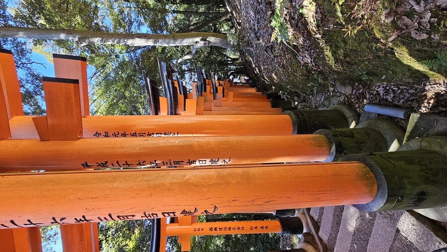 [스압초주의] " 간사이 오사카, 고베, 교토, 나라 여행 일기... "_324.jpg