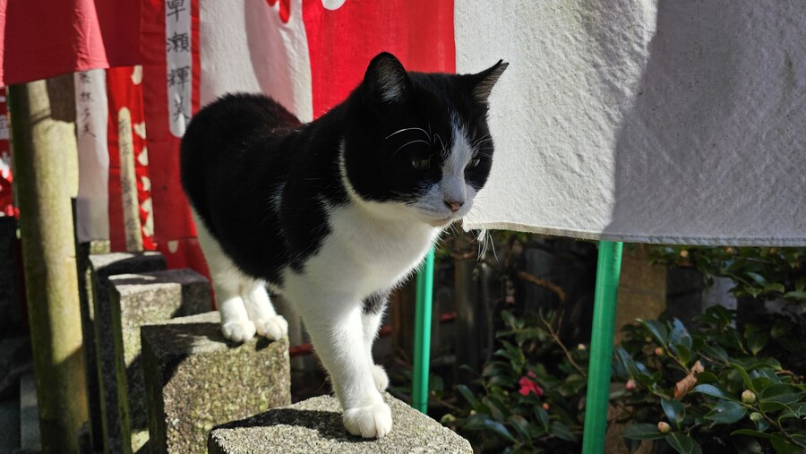 [스압초주의] " 간사이 오사카, 고베, 교토, 나라 여행 일기... "_330.jpg