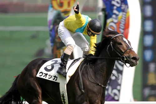 말딸,경마) 보드카 이야기 보면 웃긴거_1.webp