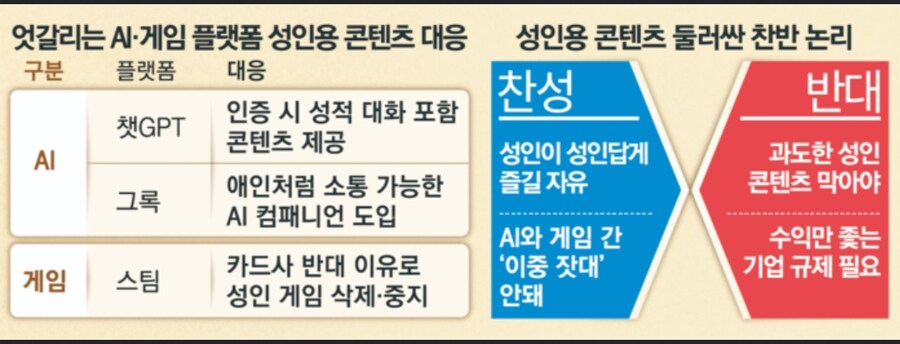 “앞으로 더 야해지겠다”...19금 콘텐츠, 성인에겐 더 풀겠다는 이 기업_1.jpg