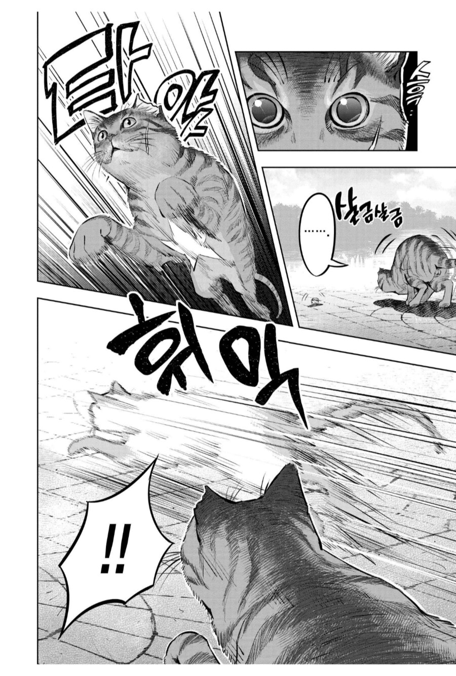 길고양이는 땅콩이 터질거 같았다.manhwa_2.png