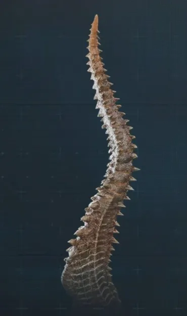 아직도 잘 모르겠는 일반몹들_2.webp