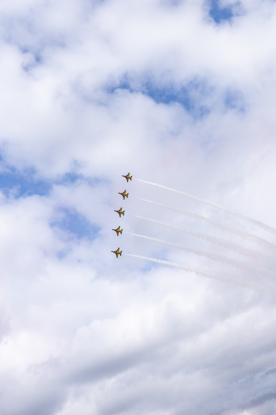 ADEX 2025 블랙이글스_5.jpg