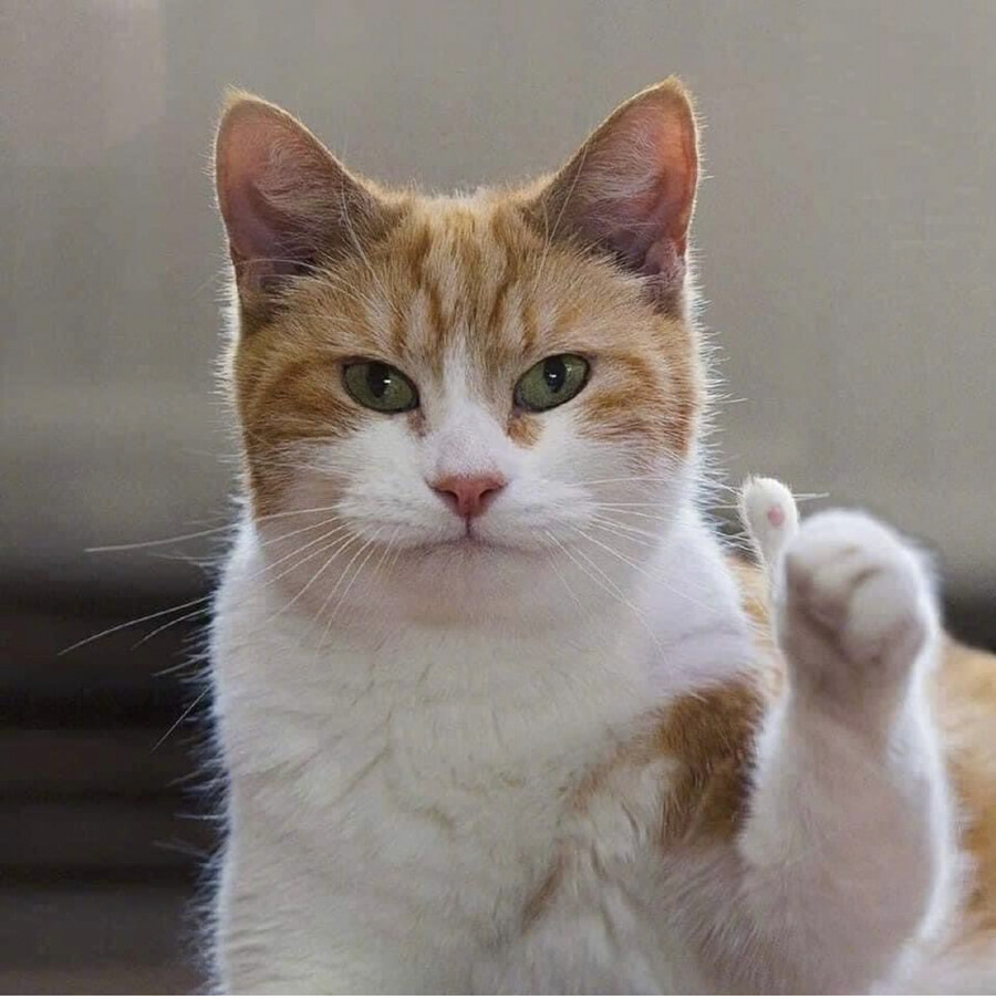 [크림과쿠키] 고스트 오브 쓰시먀!_1.jpg