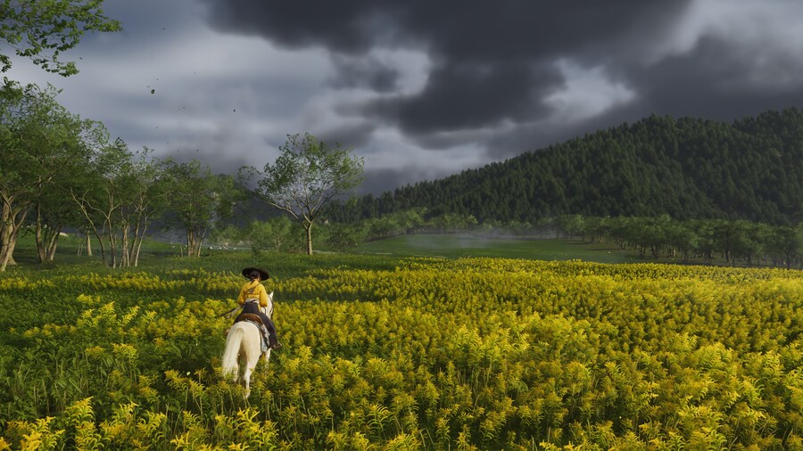 Ghost of Yōtei_8.jpg