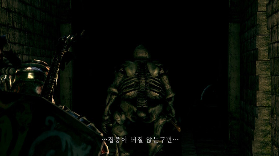 [NS]다크소울 리마스터 ( 스샷 압박)_344.jpg