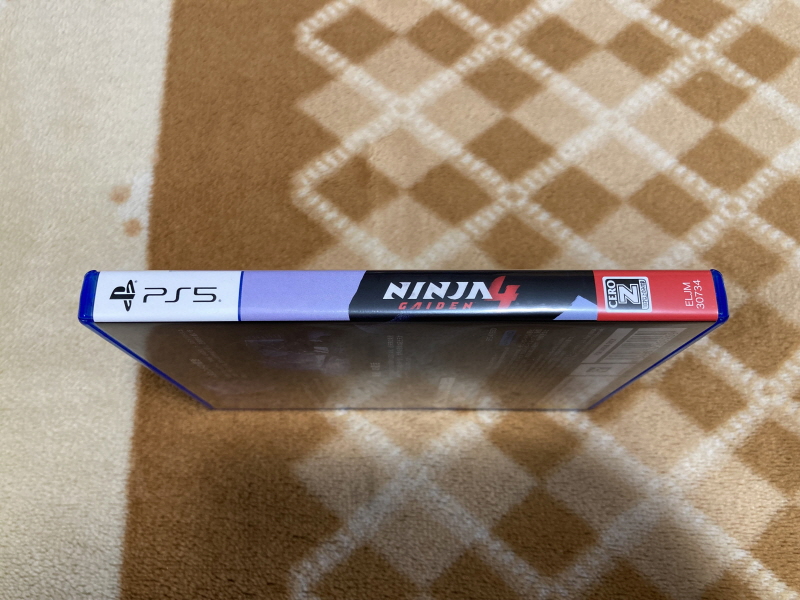 닌자 가이덴 4 (NINJA GAIDEN 4)_12.jpg