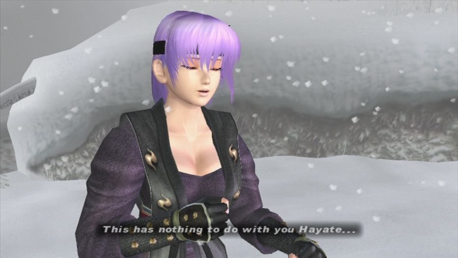 DEAD OR ALIVE 3_17.jpg
