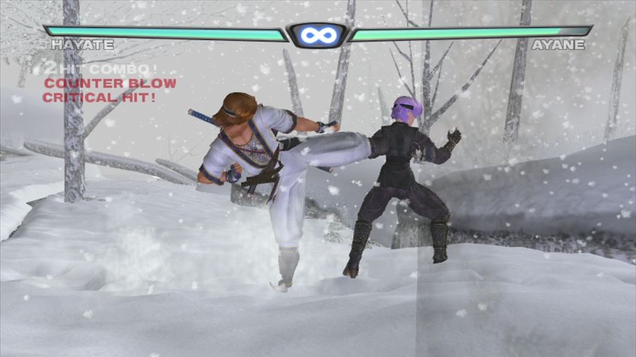 DEAD OR ALIVE 3_21.jpg